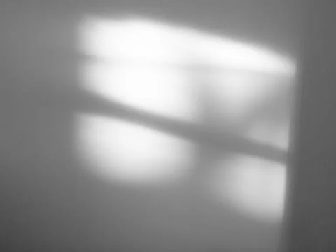 Shadow Background Sunlight Wall Light White Backdrop Plant Overlay Stock Photos