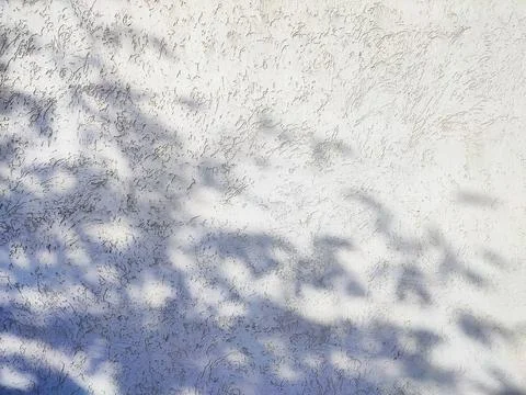 Shadow background of tree leaf branch on concrete wall Stock Photos