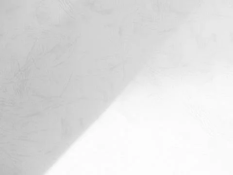 Shadow Background wall Light white Abstract Backdrop Sunlight Sun Mockup 스톡 사진