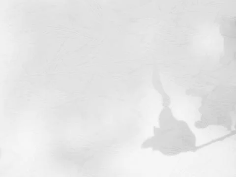 Shadow Background wall Light white Abstract Backdrop Sunlight Sun Mockup 스톡 사진