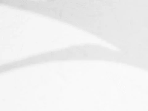 Shadow Background wall Light white Abstract Backdrop 스톡 사진