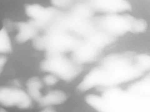 Shadow Background wall Light white Abstract Backdrop Sunlight Sun Fotos Stock