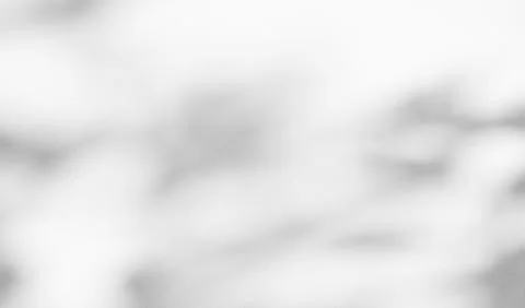 Shadow Background Wall Light White Abstract Overlay Plant Backdorp Stock Photos