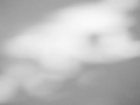 Shadow Background Wall Light White Abstract Overlay Plant Backdorp Foto stock