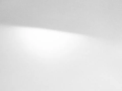 Shadow Background Wall Light White Abstract Overlay Plant Backdorp Foto stock