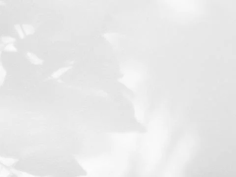 Shadow Background Wall Light White Abstract Overlay Plant Backdorp Stock Photos