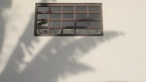 The shadow of banana leaves stirred by the wind casted on a wall Stock Footage 346794095