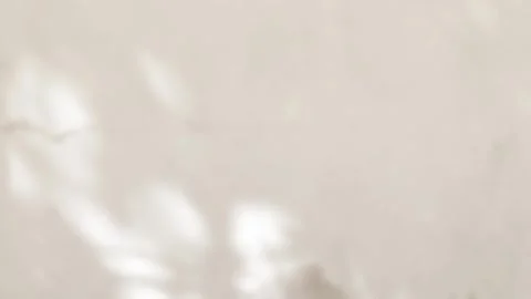 Shadow beige background wall light white overlay abstract plant 4k backdrop Stock Footage 301163961
