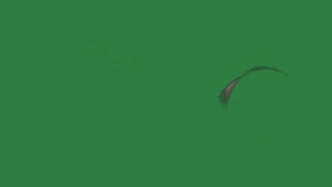 Shadow black smoke ring coming out of cat isolated on green screen background Stock Footage 337035424