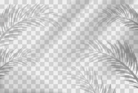 Shadow blinds and leaf Stock Illustration
