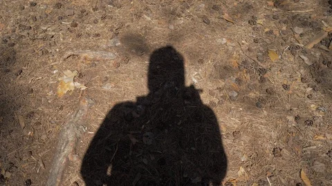 Shadow blogger shows class. The shadow of a man walking through the forest shows Stock Footage 108281373