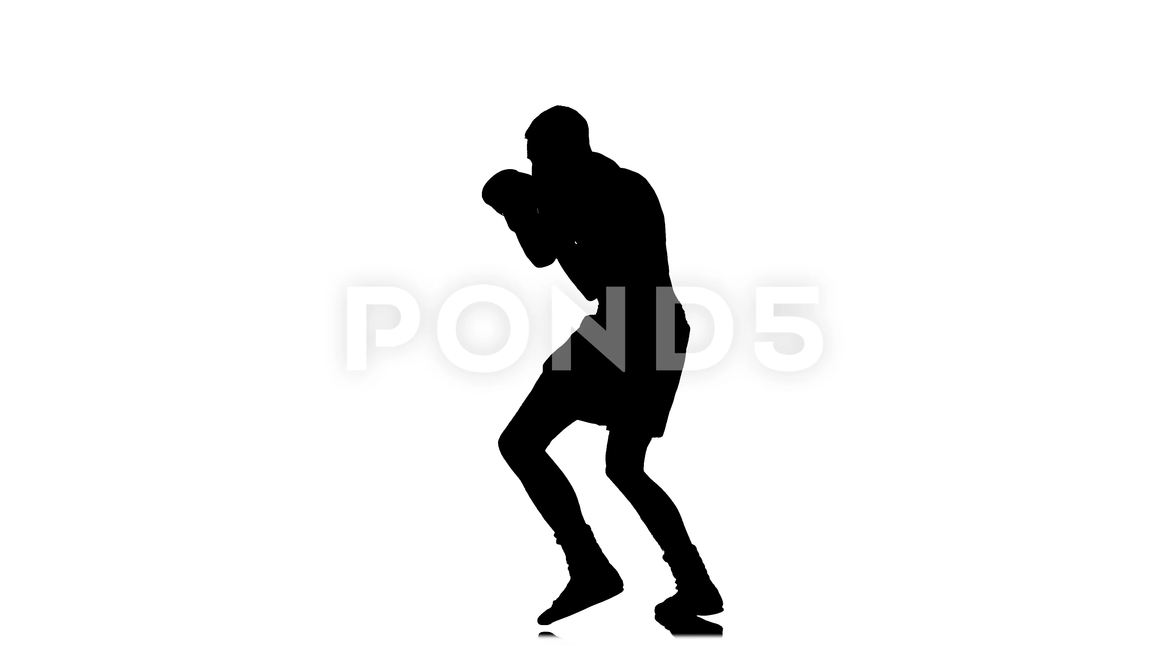 Shadow Boxing. Black Silhouette on a White Background, Sports