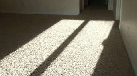 Shadow Boxing 動画素材 12613422