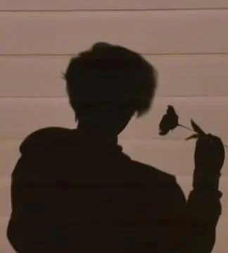 Shadow of a boy holding a flower Stock Photos
