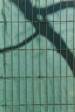 The shadow of the branch of a tree projected on the fabric of green raffia Stock Photos