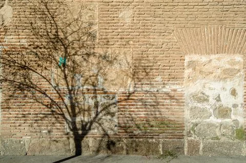 Shadow of branches on a building facade Stock Photos