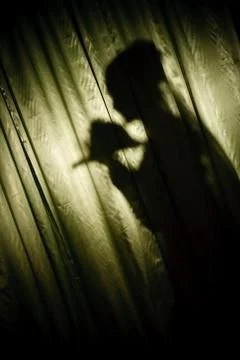 Shadow of the bride with bouquet Stock Photos