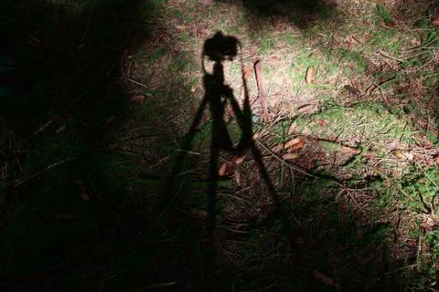 Shadow of a camera projected onto the forest floor by the setting sun. Stock Photos
