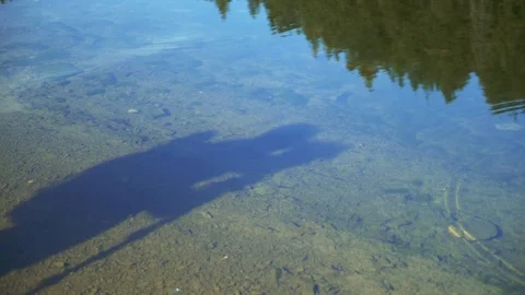 Shadow of a cameraman on the lake. 4k Видео 103264775