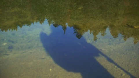 Shadow of a cameraman on the lake. 4k Stock Footage 103265018