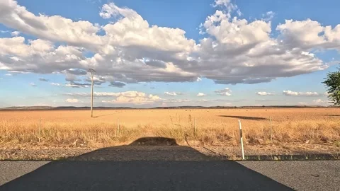 Shadow of a car driving and a dried wheat field Stock Footage 285231532