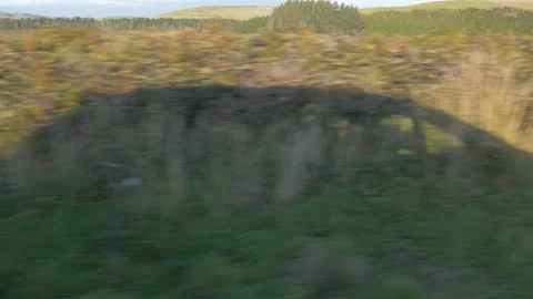 The shadow of the car scrolls over the nature along the road, in New Zealand Stock Footage 219246642