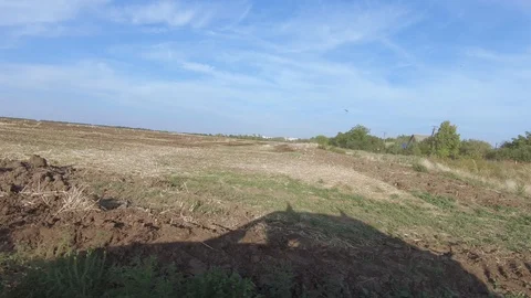Shadow of a car on a sloping field Vídeos de archivo 115493072