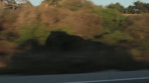 Shadow of car while driving on road trip Stock Footage 71329307