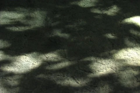 SHADOW ON CARPET  Stock Footage 87724