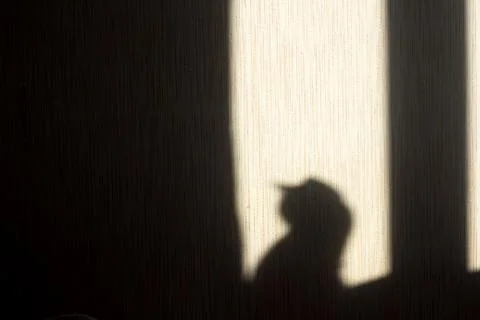 Shadow of a cat on the wall from the sun hitting the window Stock Photos