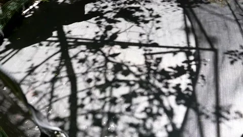 Shadow of a child jumping on a trampoline 스톡 동영상 237077027