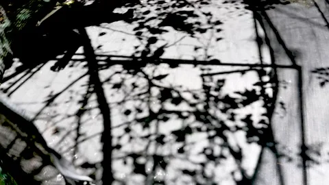 Shadow of a child jumping on a trampoline, slow motion 스톡 동영상 237077411