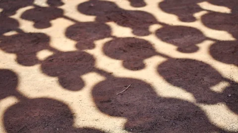 Shadow of Chinese lantern with sky background on sunny day. The lantern is de Stock Footage 96321407