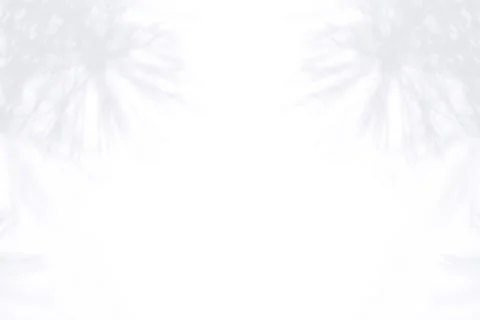 Shadow from the Christmas tree Stock Photos