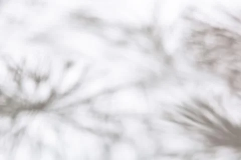 Shadow of Christmas tree Stock Photos