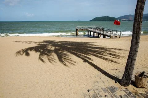 A shadow from a coconut tree falls on the sand. There is a pier for small boa Stock Photos