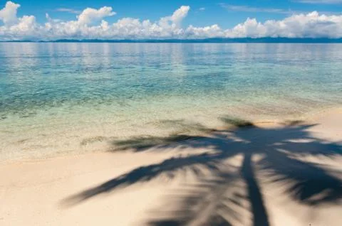 Shadow of a coconut tree on sand beach in front the ocean Stock Photos
