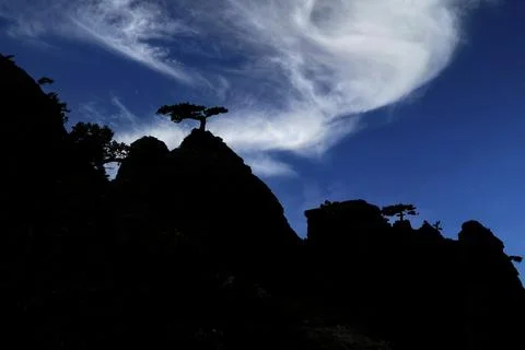 The shadow contour of a mountain range with a peak and trees on top, against  Stock Photos