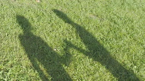 The shadow of the couple on grass Video stock 194966071