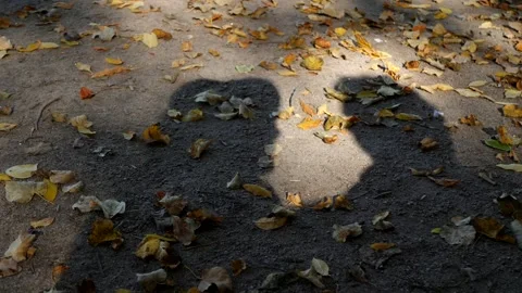 Shadow of a couple of lovers in the park on a bench. The girl in the hat kisses Stock Footage 144258829