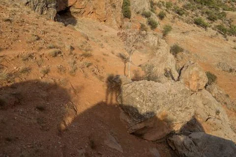 Shadow of a couple on a rock Stock Photos