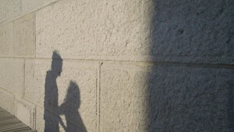 Shadow of a couple walking at sunset Stock Footage 316564213