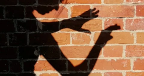 Shadow dancing on brick wall Video stock 153931365