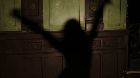 Shadow of a dancing dancer. Stock Footage 98642607