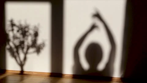 Shadow of dancing woman is seen from the window with houseplant. Video stock 135360731