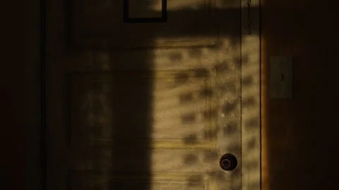 Shadow on the door at night. From street lamp Stock Footage 288716639