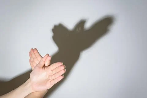 The shadow of the dove from the hands on the wall Stock Photos
