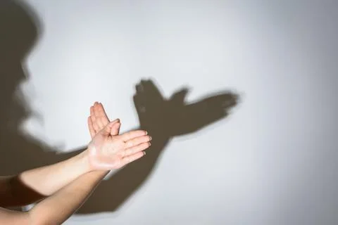 The shadow of the dove from the hands on the wall Stock Photos