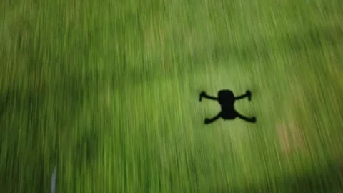 Shadow of a drone flying over lush green grass on a bright sunny day, casti.. Stock Footage 337817106