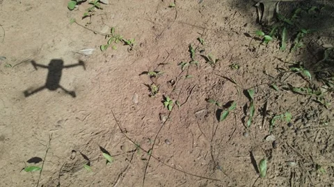 Shadow of a drone on the sand 库存影片 148733676